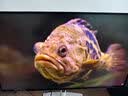 戴尔（DELL）UltraSharp 27英寸4K显示器 IPS Black 120Hz防蓝光 140W雷电4接口 HDR600 适配macOS U2725QE 实拍图