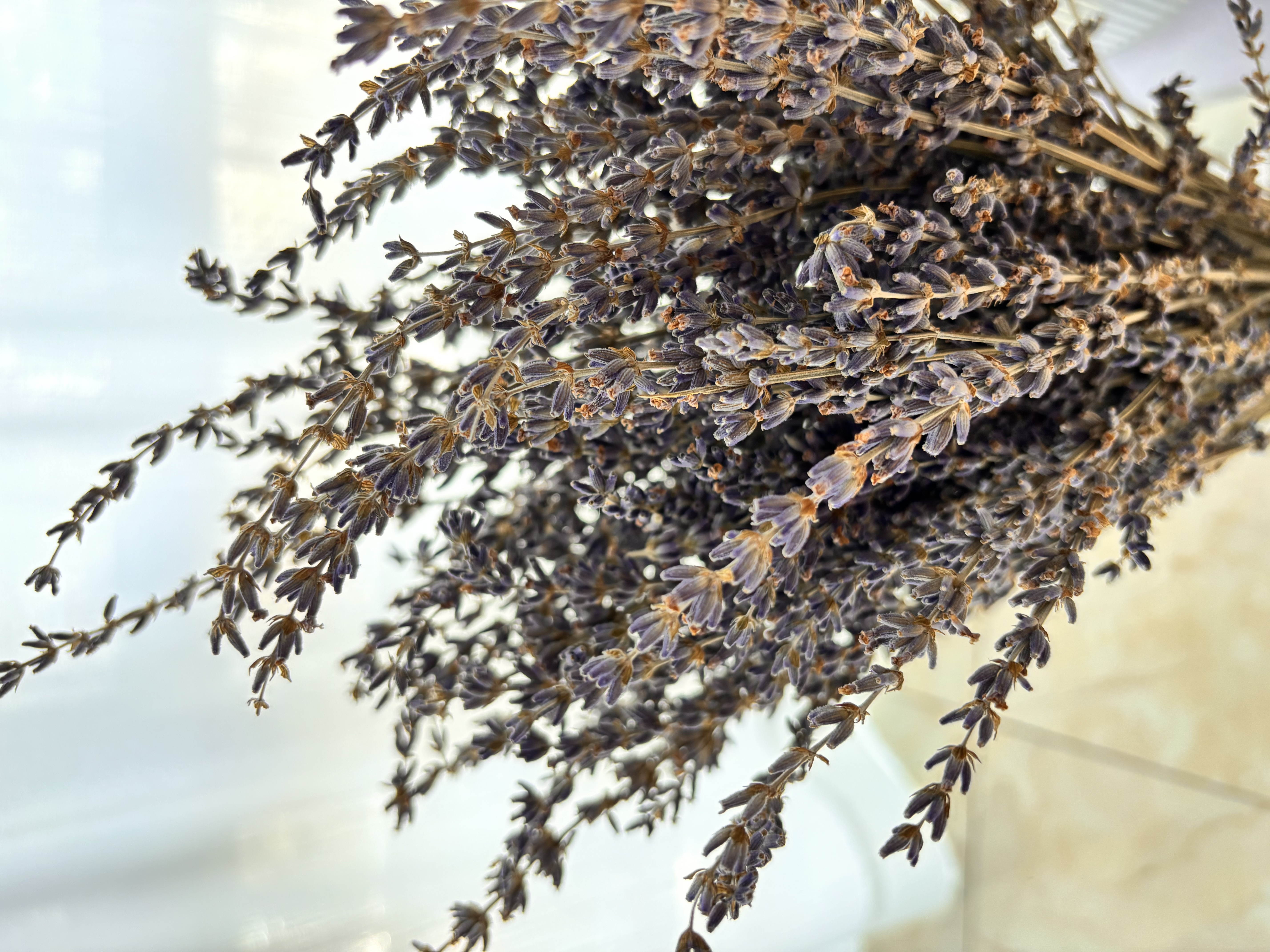 爱满（AIMAN）薰衣草干花束客厅家居装饰 天然风干花束真花香薰网红插花ins礼物 80克超值体验英国蓝 【小束】 夏季新花【全都是英文报纸包装】 实拍图