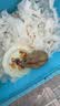 licheers五谷仓鼠粮罐装金丝熊主粮食物松鼠口粮饲料宠物粮食主食1200ml 实拍图