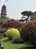 HKC 27英寸2K高清300Hz超频FastIPS旋转升降电脑HDR400硬件低蓝光电竞游戏HDMI2.1显示器G27H4Plus 实拍图