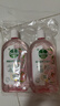 滴露（Dettol）香氛自然衣物消毒液48H留香洗衣除臭儿童可用消毒水杀菌除螨1L*2 实拍图