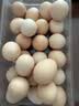 京鲜生 无抗保洁鲜鸡蛋30枚/盒 健康轻食 礼盒送礼 1.5kg/盒 源头直发 实拍图