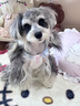 阿道夫【男士控油专研】洗发水450ml 控油清爽蓬松 茶树精油香氛洗发露 实拍图