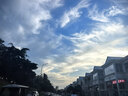 若客（ROKR）工业之城达芬奇直升机 机械拼装模型玩具积木拼图七夕情人节礼物 实拍图