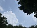 欧育婴儿爬爬服春秋夏季防宝宝脏连体爬行服长袖户外防擦拖地板护肘脏 桔色 短袖款拖地服80码 A类 建议0-1岁 实拍图
