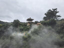 曼牌滤清器（MANNFILTER）空气滤清器空气滤芯C27009/C27096速腾宝来凌渡朗逸帕萨特途安高7 实拍图
