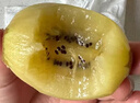 佳沛（zespri）新西兰 阳光金奇异果12粒特大果单果124-146g 猕猴桃水果礼盒 实拍图