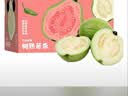 京鲜生 白心奶油芭乐/番石榴 净重3斤 单果150g+ 生鲜水果礼盒 实拍图