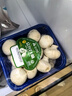 【烧烤季】白蘑菇(口蘑) 230g 实拍图