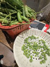 中鲜生 云南新鲜豌豆 甜豌豆新鲜蔬菜现摘豆角 净重4.5斤【好划算】鲜嫩饱满 实拍图