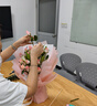 京东鲜花随机玫瑰10枝40cm起鲜切花礼品如意新鲜现采山东基地送礼源头直发 实拍图