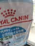 皇家狗粮 幼犬狗粮 宠物 小型犬 MIJ31 全价犬粮 2-10月 2KG 实拍图