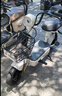 驰小虎电动自行车 吉祥虎新国标电动车电动自行车48V12Ah铅酸电池长续航电瓶车成人代步车电车白色 实拍图