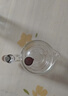 泥也茶壶玻璃泡茶壶茶水分离泡茶分离器茶具家用小茶壶个人专用茶水壶 实拍图