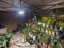 瑞丰年全光谱植物补光灯仿太阳光充电款防水led室内落地支架绿植生长灯 【全光谱补光灯】 1500W型-白光-续航8-48H 实拍图