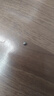 十月稻田 绿豆 2斤 (可发豆芽 打豆浆 东北 五谷 杂粮 粗粮 真空大米伴侣) 实拍图