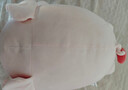 名创优品（MINISO）小猪B-BO弹力超柔趴姿公仔毛绒玩偶儿童玩具抱枕靠枕生日礼物女 实拍图