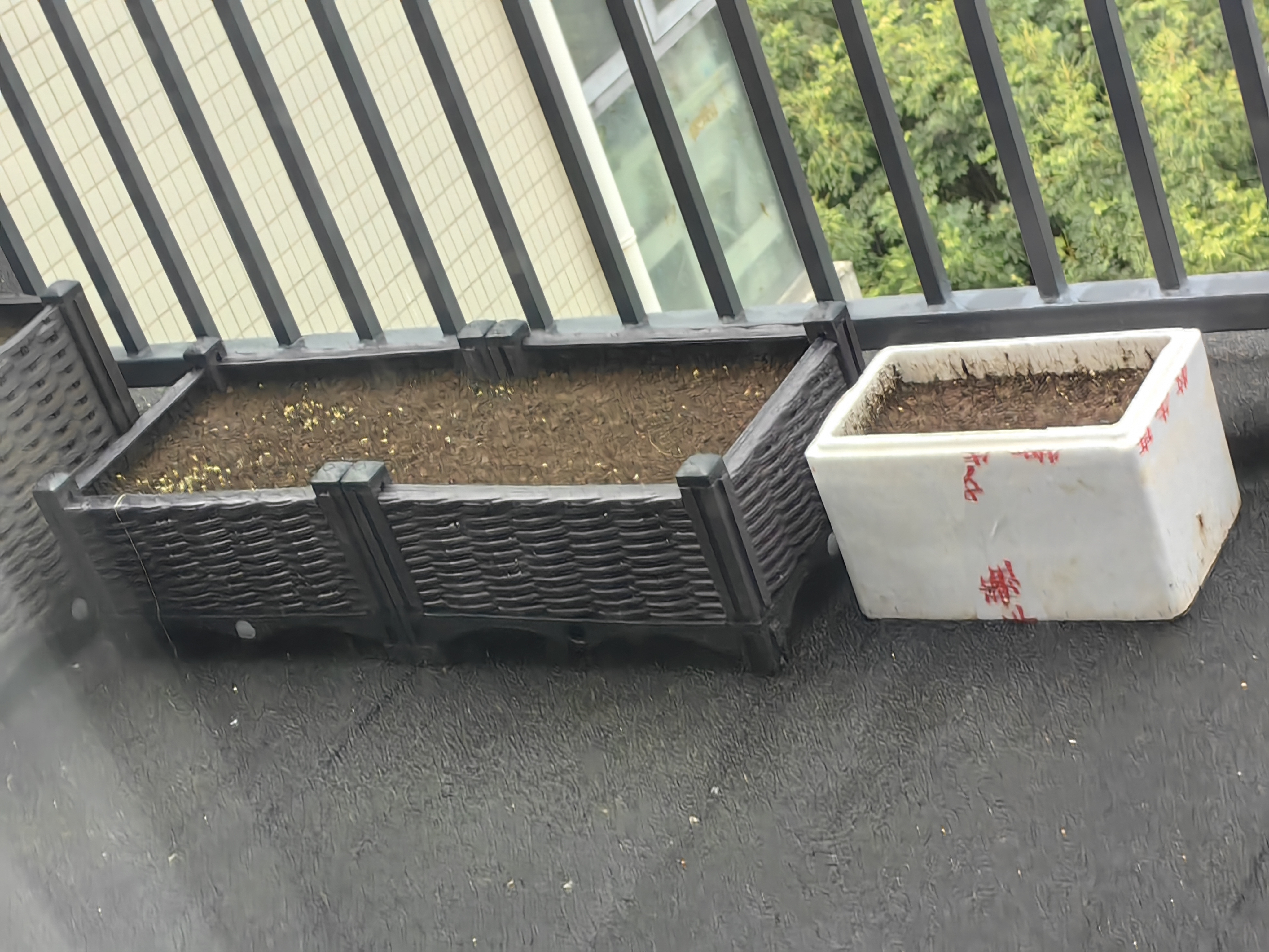 原起点阳台楼顶种菜箱长方形蔬菜种植箱神器种菜盆菜箱塑料花箱户外 【超值·福利款】 80cm长二联箱 实拍图