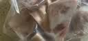 龙大肉食猪蹄块2斤 冷冻免切猪蹄子猪爪猪手猪脚猪蹄生鲜 猪肉卤猪蹄烧烤 实拍图