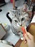 网易严选猫条猫湿粮成猫幼猫通用零食三文鱼+扇贝口味12g*100条 实拍图