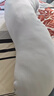 亚朵星球深睡抱枕孕妇枕侧睡枕夹腿长条枕床头靠枕靠背趴睡枕男女侧睡护腰 实拍图