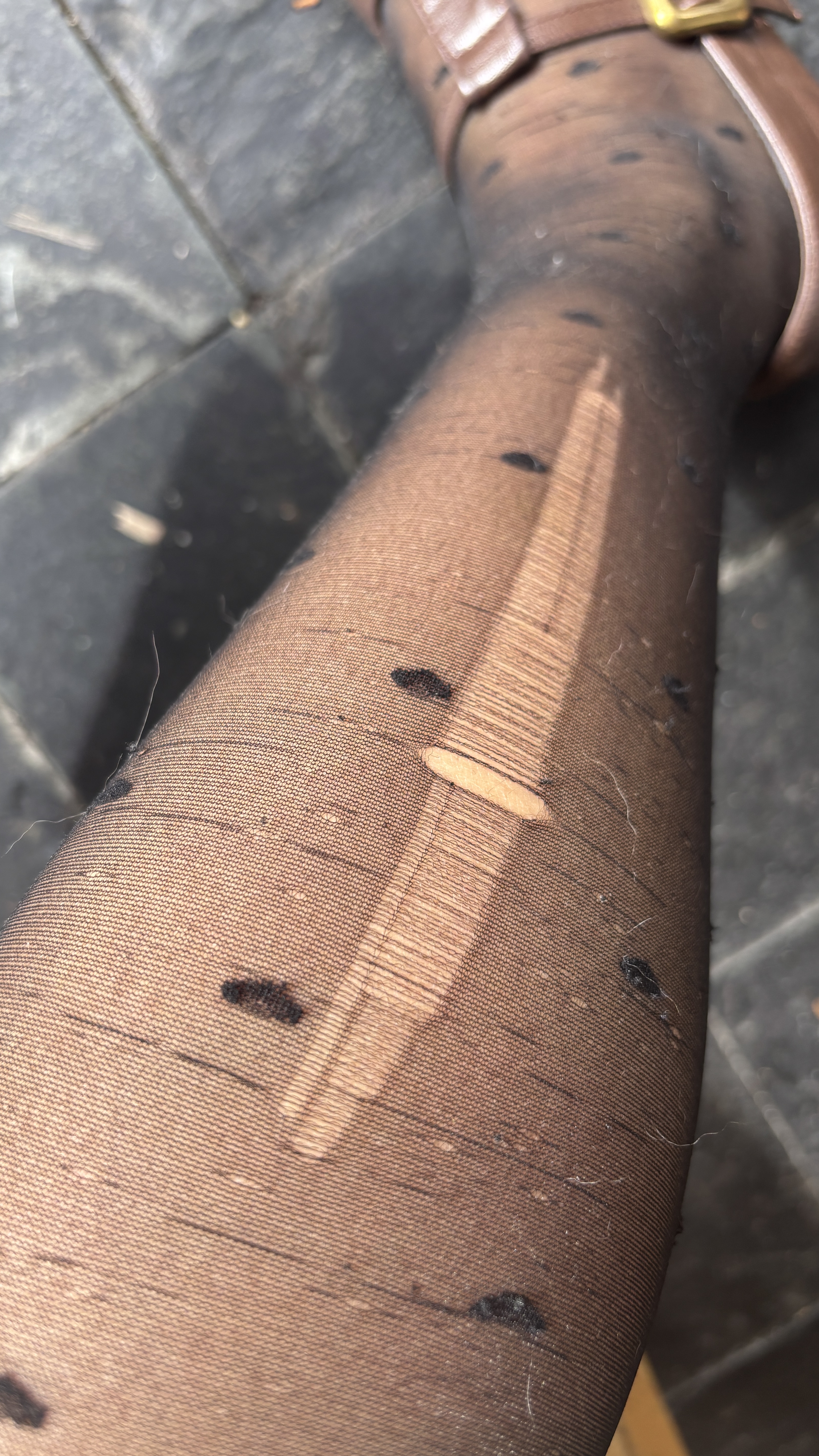 浪莎波点丝袜女黑丝战袍薄款七夕情人节礼物过膝袜性感情趣黑色连裤袜 实拍图