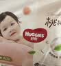 好奇（Huggies）铂金装小桃裤拉拉裤XL64片(12-17kg)加大号尿不湿【夏季散热王】 实拍图
