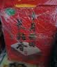 十月稻田 长粒香大米 10斤（东北大米 香米 5kg/公斤） 实拍图