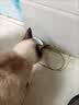 皇家猫粮 室内成猫粮 I27 通用粮 12月以上 2KG 实拍图