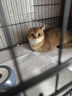 憨憨宠猫笼折叠猫笼子大号猫别墅加粗加密双层猫舍猫窝宠物猫咪用品家用 黑色 700双层 实拍图