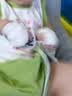 蓝洛 医用纱布无菌绷带一次性透气脱脂棉纱布卷伤口包扎婴儿口腔清洁 实拍图