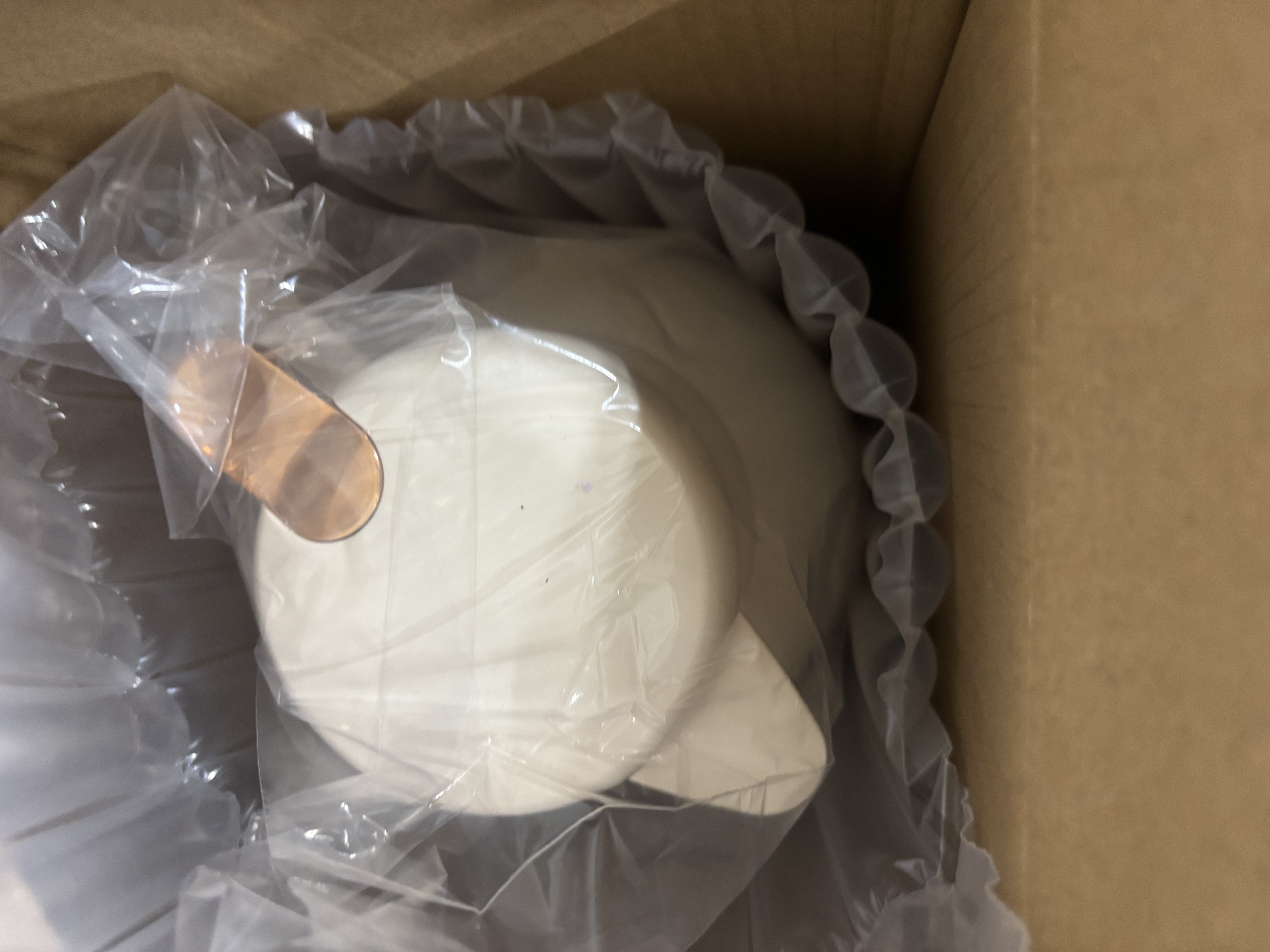 迪士尼保温壶家用暖水壶热水瓶暖壶暖瓶玻璃内胆按压式 2L奶油白金 实拍图