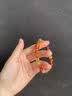 静风格多宝生肖手串朱砂水晶玛瑙手链护身符本命年纪念日生日礼物送女生 晒单实拍图