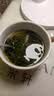 平利绞股蓝【特5A】精选七叶绞股蓝龙须茶250g药食同源送长辈滋补健康养生茶 实拍图