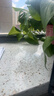 贝亲（Pigeon）洗发水沐浴露 含桃叶精华 婴儿洗发沐浴二合一 500ml IA209 实拍图