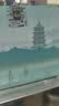 西湖牌2026新茶上市正宗雨前浓香龙井纸包250g春茶绿茶叶 实拍图