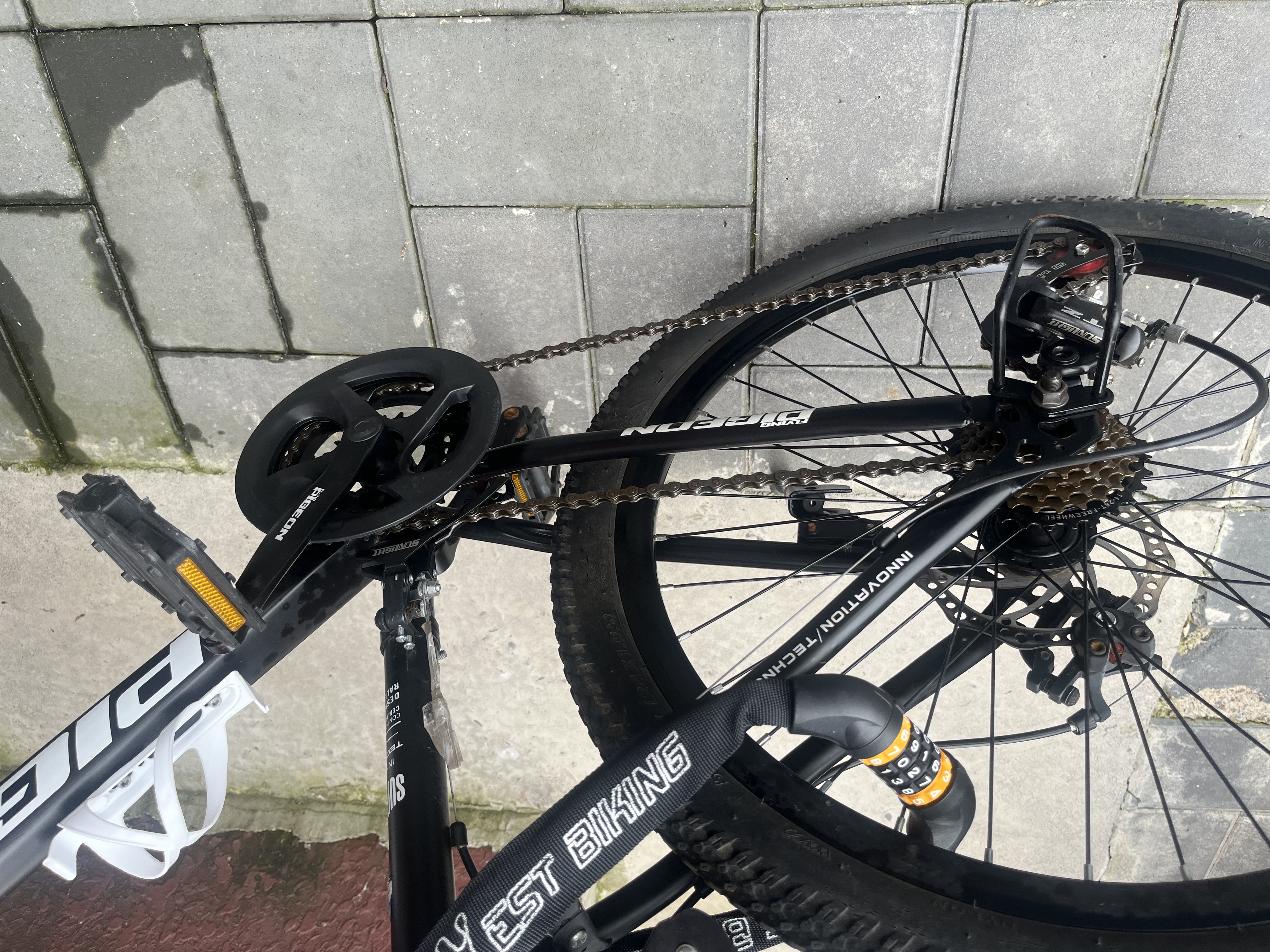 WD-40自行车链条清洗剂链条油防锈润滑保养山地公路牙盘飞塔轮洁300ml 实拍图
