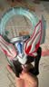 万代（BANDAI） 闪耀迪迦奥特曼变身召唤器神光棒特别套装中文版 欧布圆环 实拍图
