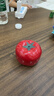 GOTOVAN西红柿学习计时器闹钟小学生专用提醒定时器儿童自律打卡必备神器厨房时间管理器 【计时器】无需电池/定时精准 丨7.3*5.5cm 实拍图