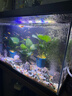 森森鱼缸增氧泵水族箱氧气泵家用小型充氧泵LQE-400 5W双孔+全套配件 实拍图