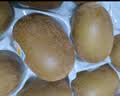 佳沛（zespri）新西兰阳光金奇异果巨大果22粒原箱单果146-175g 猕猴桃水果礼盒 实拍图