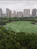 小米15 徕卡光学Summilux高速镜头 骁龙8至尊版移动平台 16+512 白色 5g手机 实拍图