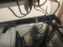 森森（SUNSUN）大型鱼缸底过滤水族箱客厅家用落地玻璃生态金鱼缸 【实时温显+灯控】珍珠白 0.6米长35cm宽 实拍图