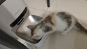 霍曼（Homerun）AI智能宠物自动喂食器视频猫喂食定时定量摄像头可视VF20 可插卡 实拍图