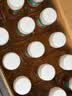 农夫山泉东方树叶茉莉花茶500ml*15瓶无糖茶饮料0糖0脂0卡整箱装 实拍图