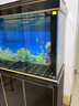 森森（SUNSUN）大型鱼缸底过滤水族箱客厅家用落地玻璃生态金鱼缸 超白款升级底滤 1.2米长42cm宽（黑白灰可选） 实拍图