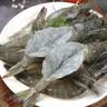 鲜驰 虾 青岛大虾 基围虾鲜活青虾白虾海虾对虾冰虾冻虾生鲜 虾类海鲜 气冻大虾 3斤(净重)  14-16cm【单只冻 无冰衣】 实拍图
