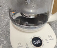 小熊（Bear）养生壶煮茶壶煮茶器 多功能保温一体烧水壶恒温水壶 316L母婴级煮水壶 1.5L YSH-E15M1 实拍图