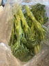 绿食者 甜杆西兰苔 新鲜蔬菜芦笋西兰花时令蔬菜清甜脆嫩西餐食材 500g 实拍图