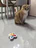 憨憨乐园猫玩具吸盘猫咪转转乐逗猫幼猫小猫逗猫棒自嗨解闷神器玩具 实拍图
